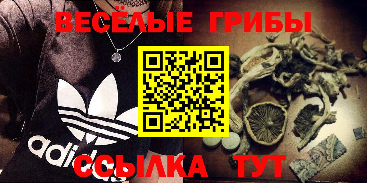 Североуральск  Галлюциногенные грибы ЛСД  Вход с VPN  Псилоцибиновые грибы ЛСД 