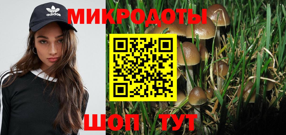 Галлюциногенные грибы MAGIC MUSHROOMS Североуральск